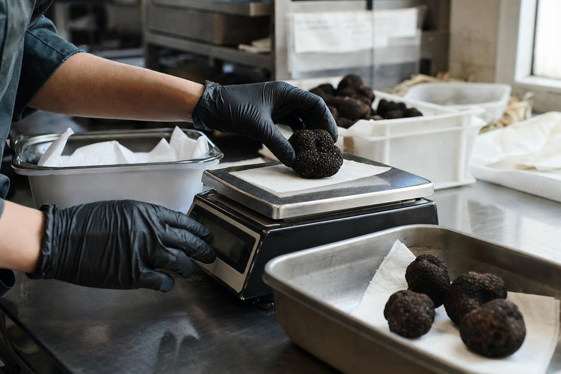 Truffle Product Selection for Retailers: A Practical Guide. Truffle Product Selection for Retailers: A Practical Guide. Retail buyer comparing fresh, dried and prepared truffle for