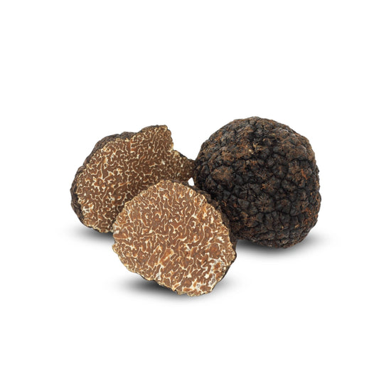 Zwarte herfsttruffel (Tuber uncinatum)