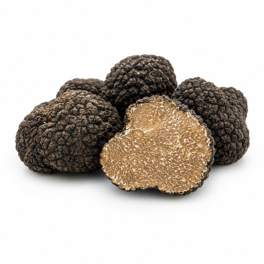 Summer Black Truffle (Tuber aestivum)