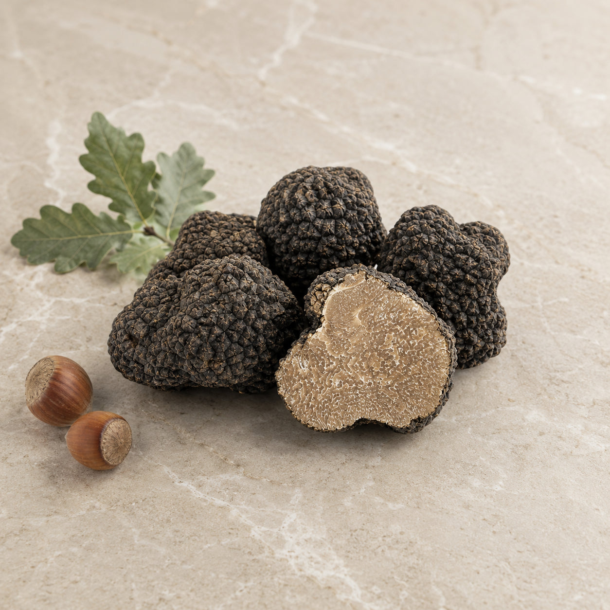 Fresh Tuber aestivum summer black truffle with natural dark texture and seasonal ingredients