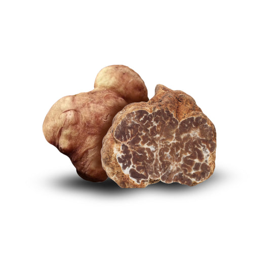 Bianchetto Truffel – Knolborchii