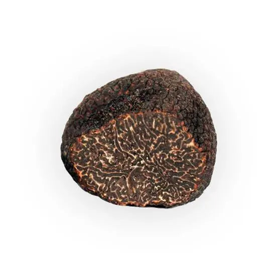 Black Moscato Truffle – Tuber brumale